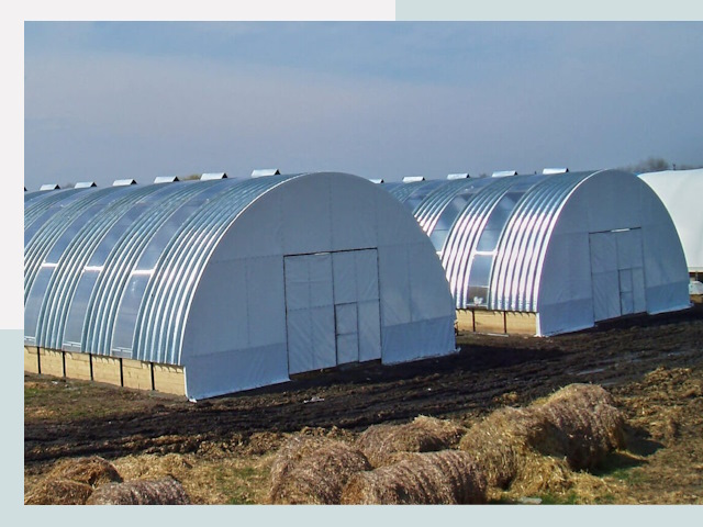 Сельскохозяйственные здания в Великих Луке