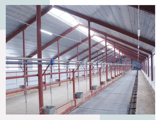 Строительство коровников в Великих Луке от 620 руб.