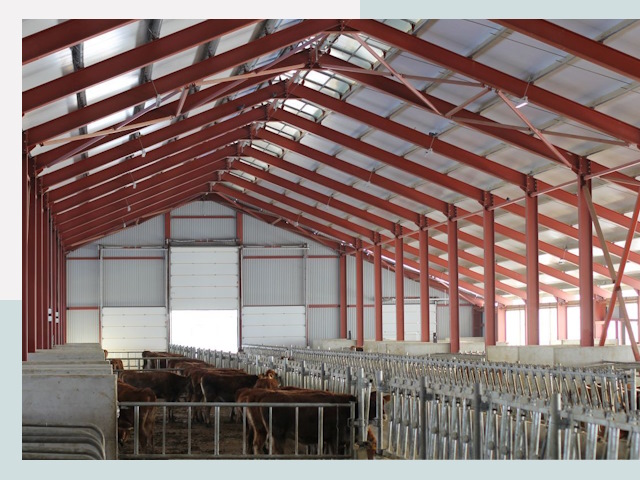 Строительство коровников в Великих Луке