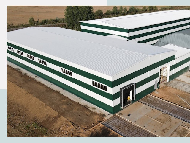 Строительство овощехранилищ в Великих Луке