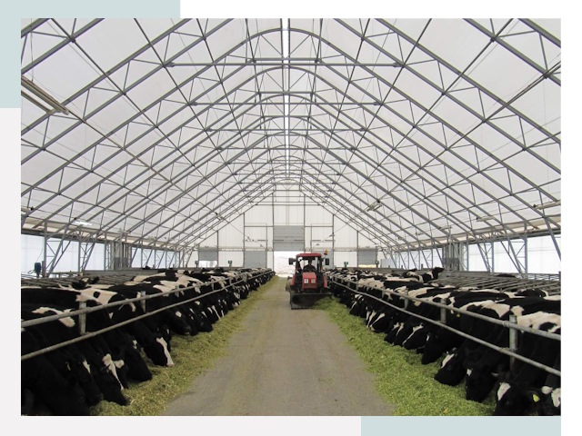 Тентовые коровники в Великих Луке от 620 руб. - Надежно и доступно